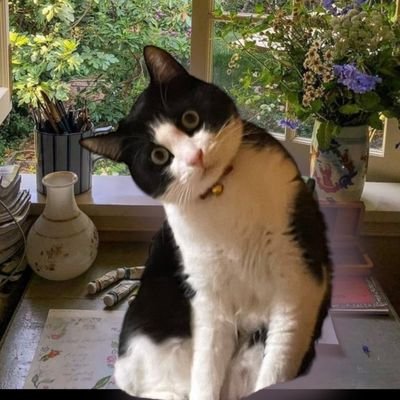 loveandlaughspu's profile picture. 自分のワクワクを大切にしたらステキな出会いや楽しい事がいっぱいになりました♥️🥰沖縄旅、和歌山旅で大きな変化が🥰🥳👍！神社巡りとカフェがマイブーム☕温かい繋がりを大切にしたいです✨💞🤗💕🎶🥰#富山を応援 #ステキな人 #ステキなお店 #地球を元気に！