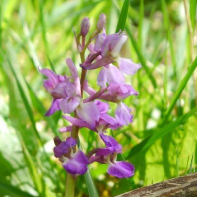 Campaigning locally for community wellbeing and protection of our natural and historic environments.