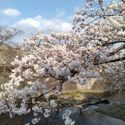 Miyabi_ffdbed's profile picture. 誕生日の花言葉になるレベルで話好きなので絡んでやって下さい。

blender/気象学/言語