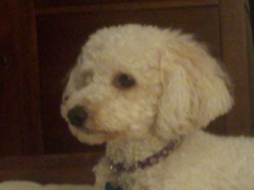 daisyslut21's profile picture. 