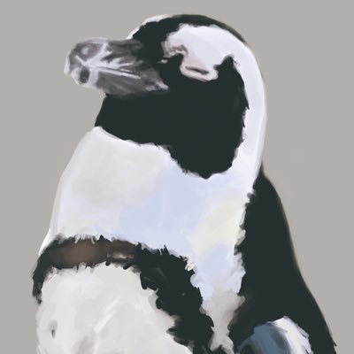 帰途 kitoさんのプロフィール画像