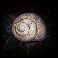 Lukas (@tweeterinho2) Twitter profile photo