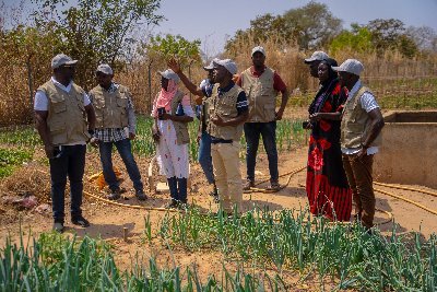 GAFSp aims at increasing food & nutritional security, as well as household income, particularly for the vulnerable households in 5 region of the Gambia,