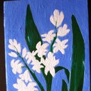 samar naim haddad - @oooooof - Twitter