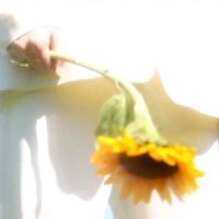 ri ༉ (@sunsrkv) 's Twitter Profile