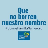 Federación Española de Familias Numerosas (FEFN)(@FamNumerosas) 's Twitter Profile Photo