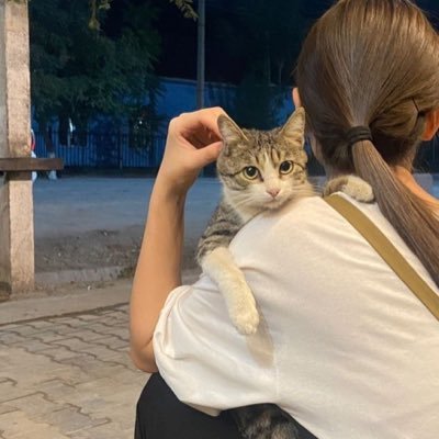 AshHashai26775's profile picture. فجيعة الإنسان الأولى لحظة إدراكه