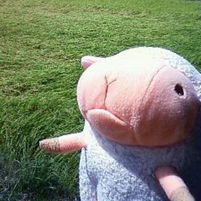 ponta_mano's profile picture. データ分析/統計/python/機械学習/資格取得
G検定2022#2/DS検定
2025年も資格+発信強化していきます！