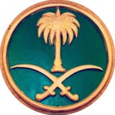 AliAlshaikhi9's profile picture. 