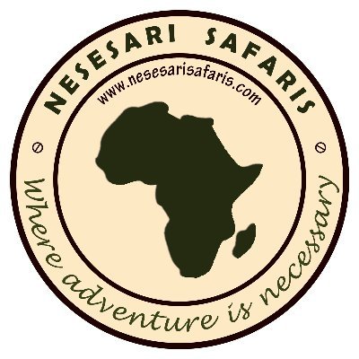 We're your gateway to discovering the stunning beauty and rich culture of Tanzania.
🦁 Wildlife Safaris
🏔️ Trekking
🌴 Beach Bliss
🎭 Cultural Tours