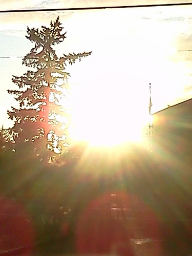 Nikkibalbi's profile picture. Wishing for a dream come true! Trying to plan a wedding, but money is the object.any fairy god-parents out there that have wishes to grant then im your girl