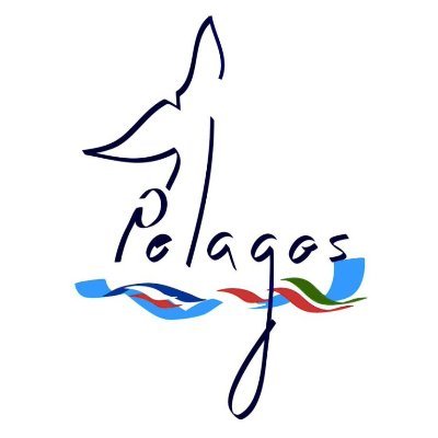 Pelagos Sanctuary is a Protected Area for marine mammals between France, Italy and Monaco #santuario #cetacei #sanctuaire #mammiferesmarins #mediterranean