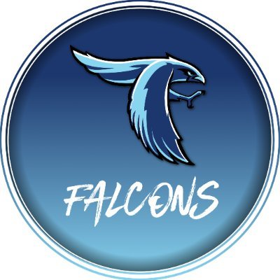 PMFalconSports Profile Picture