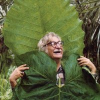 Emmett FitzGerald (@emmettsfitz) 's Twitter Profile Photo Emmett FitzGerald (@emmettsfitz) 's Twitter Profile Photo