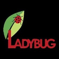 Ladybug PCS(@LadybugQuincy) 's Twitter Profile Photo