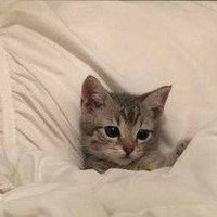 ergoterapiatama (@ergoterapiatama) 's Twitter Profile Photo