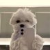 Hi soy Angye (@angyepe) Twitter profile photo Hi soy Angye (@angyepe) Twitter profile photo