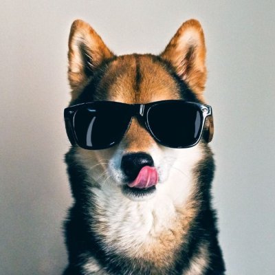 AndryBryant's profile picture. I’m a smart person. I just do stupid things