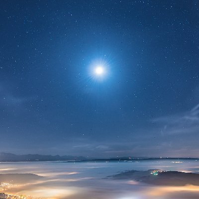 jwkdhu697702's profile picture. 