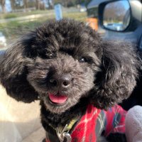 まさみん🦫🦫🦫🦫 (@217mf) 's Twitter Profile