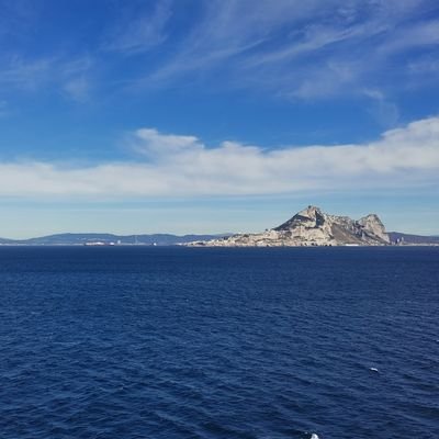 Fonxin00's profile picture. 