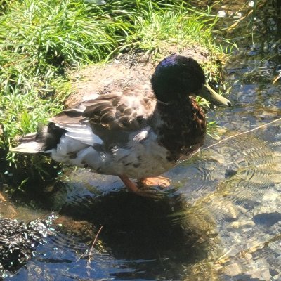 M4ngo2go's profile picture. 