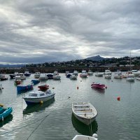 Ignacio Montalvo (@nach0montalvo) 's Twitter Profile Photo