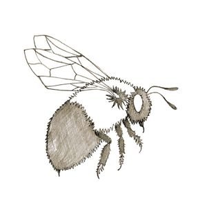 New independent publisher of books on bees, pollinators and more.

Member of the Independent Publishers Guild