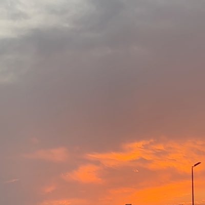 Tweetie475's profile picture. 