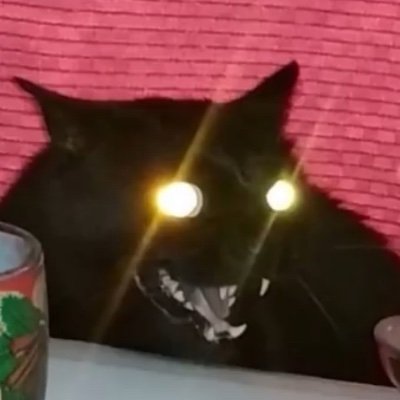 oilfriedoil's profile picture. huge fan of straight up creatures. beasts if you will. literally agetha btw