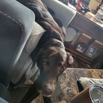 Marsha Profile