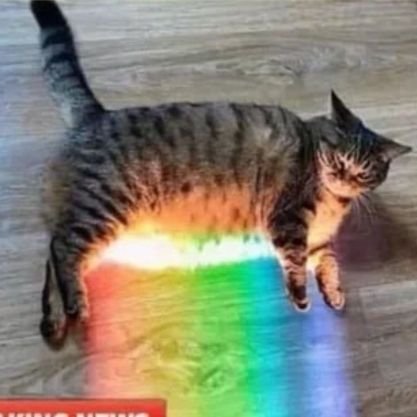 2coolBrewing's profile picture. Here for the memes.