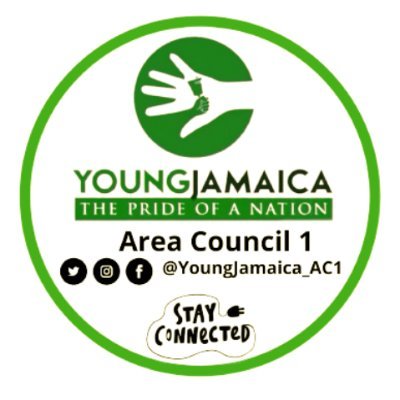 The youth arm of the Jamaica Labour Party with focus on Area Council 1