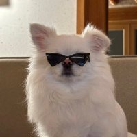 이밥풀 (@bappurisfree) 's Twitter Profile