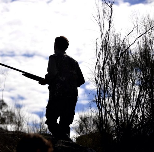 Cuenta abierta para los amantes de la Caza al salto. Para compartir nuestras experiencias en el campo.