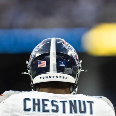 Julius Chestnut Profile