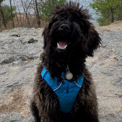 jack5her1dan's profile picture. KING OF THE BEACH