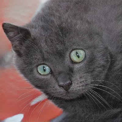 SamanthaMy30527's profile picture. 