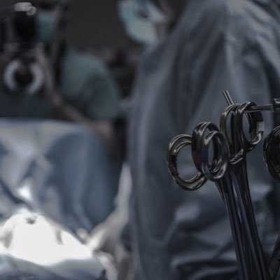 DML14846010's profile picture. Bookworm