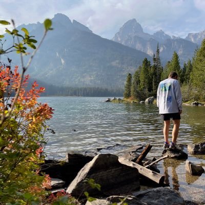 Ninjaart6's profile picture. #xrpthefuture