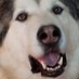 Kimberly Toth (@kimberlyto43273) Twitter profile photo Kimberly Toth (@kimberlyto43273) Twitter profile photo