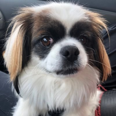 Tomita1Tomita's profile picture. 