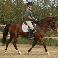Jodi Smith (@jodismith113358) 's Twitter Profile
