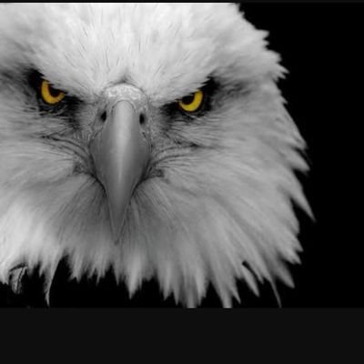 🦅 💯 BEŞİKTAŞ 💯 🦅
Mákîná Mûhéndîsî ◼◻▫▪▪▫◻◼ 🇹🇷