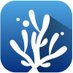 DigitalCorals (@digitalcorals) Twitter profile photo DigitalCorals (@digitalcorals) Twitter profile photo