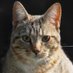 Leslie Lane (@leslielane89709) Twitter profile photo Leslie Lane (@leslielane89709) Twitter profile photo