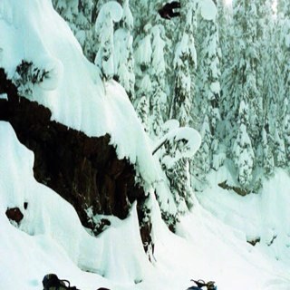 ForeverForum87's profile picture. 