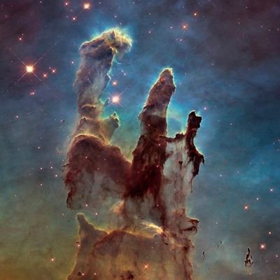 Max81390229's profile picture. 