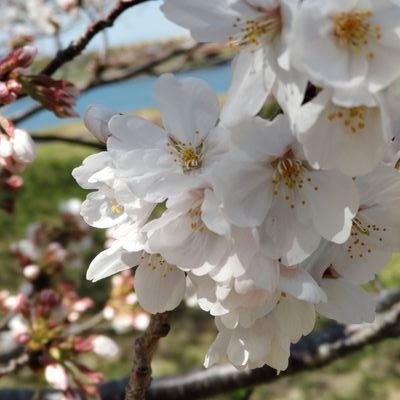 hsqtNWUrdRrsaPG's profile picture. 金融リテラシー強化中
6UWRLGKR