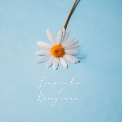TypedUpMusings 2.0 🖤🖤 Fanfics as my creative outlet (mostly TKEM 🖤 LGxJTE) | Fangirl to distract from real life